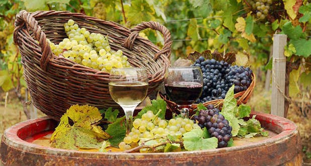 image of wine and grapes